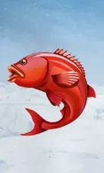 Ice Fishing